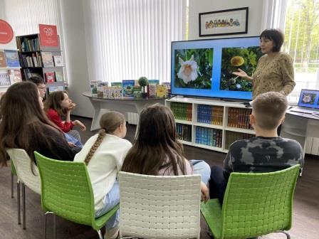 Экологическое путешествие «Чудеса зеленого царства»