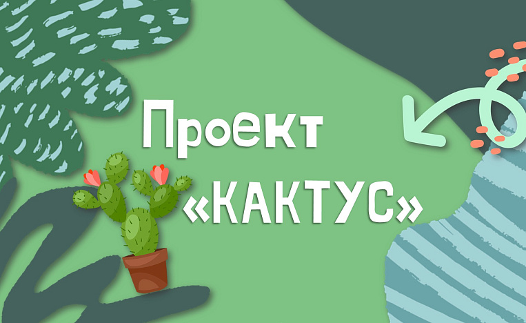 Проект «Кактус»