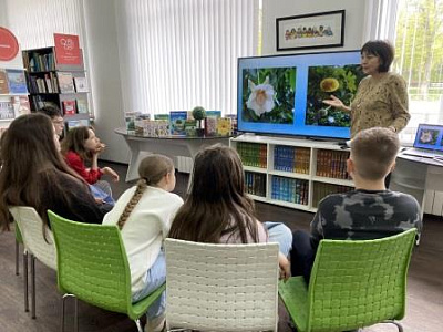 Экологическое путешествие «Чудеса зеленого царства»